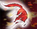 red W.O.L.F's