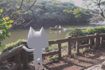 Suyo’s Community