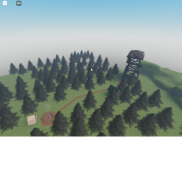 The forest