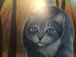 •±The Warrior Cats Fans Of Roblox!±•