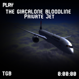 The Giacalone Private Jet
