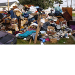 THE OFFICIAL JUNK GROUP