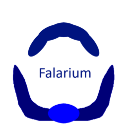 [RAID] Falarium scouting base