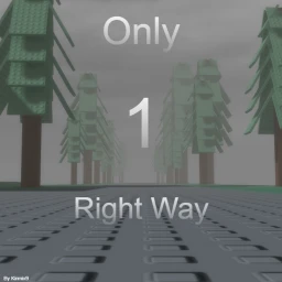Only 1 Right Way icon