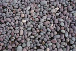 Mebel the the pebble