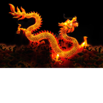 OpticDragonz