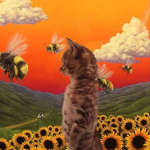 "sunsets"