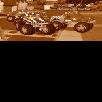 Get your Driver License for Admin!! HALLOWEEN BONU