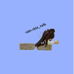 rdm.rblx.talk
