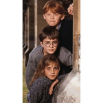 Harry Potter Cast Group!