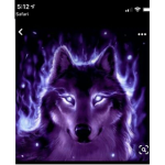 Wolf_ squad!