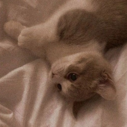 ❀