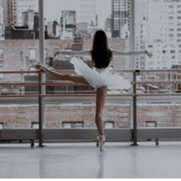 Wildflower Dance Academy