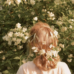 aesthetic.themes