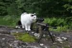 - Site Hazmat Facility [Site Fur] -