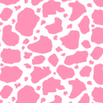 Moo boutique !