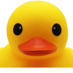 Ducky x studios