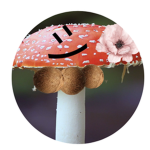 The mushroom-nut flowers