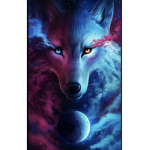 Galaxy Huskies