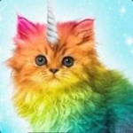 Gato-cornio