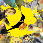 Coco-and-pikachu-waffles