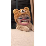 Ema Maëlys