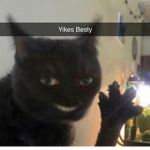 Bellatherobber