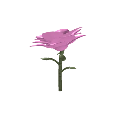 Pink Flower