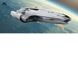 Fly race