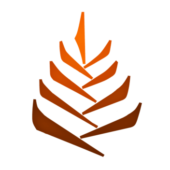 Project - Orange Roots