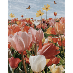 -Aesthetic Tulips-