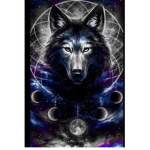 +*Galaxycats*+
