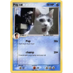 only poggers cat! no human allowed
