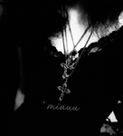 ‘ miauu