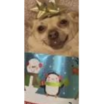 The Meme Grouping