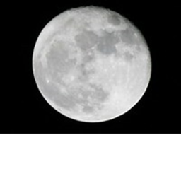 White Moon Academy