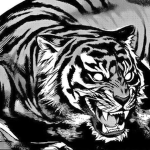 The Tigers | 盟友
