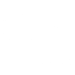 Sonic:R icon