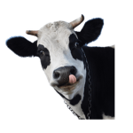 cow revolution
