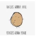 Fancy Shmancy Potatoes