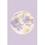 Lia’s universe