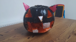 Midnight the kitty cat