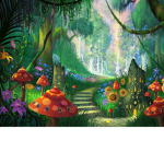 Aesthetic Mushrooms!