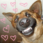 I <3 PUPPIES!