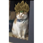 Ola ke asé xd
