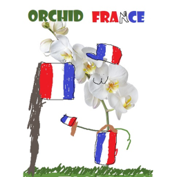 France -ORCHID-