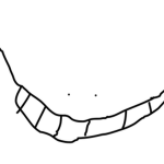 The 1 persons Smiles