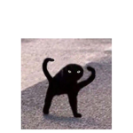Bil#########