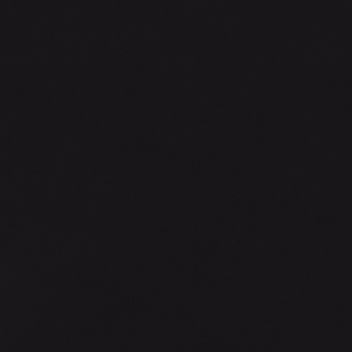 Sword Fighting Training