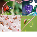 *Aesthetic Animals*